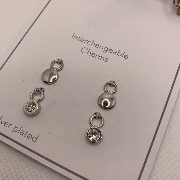 Gold and Silver Interchangeable Earrings Set with Charms - Picture 3 of 8